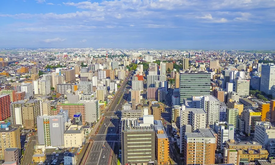 実施している主な調査項目