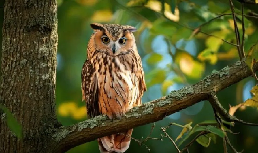 尾行対象者の予測