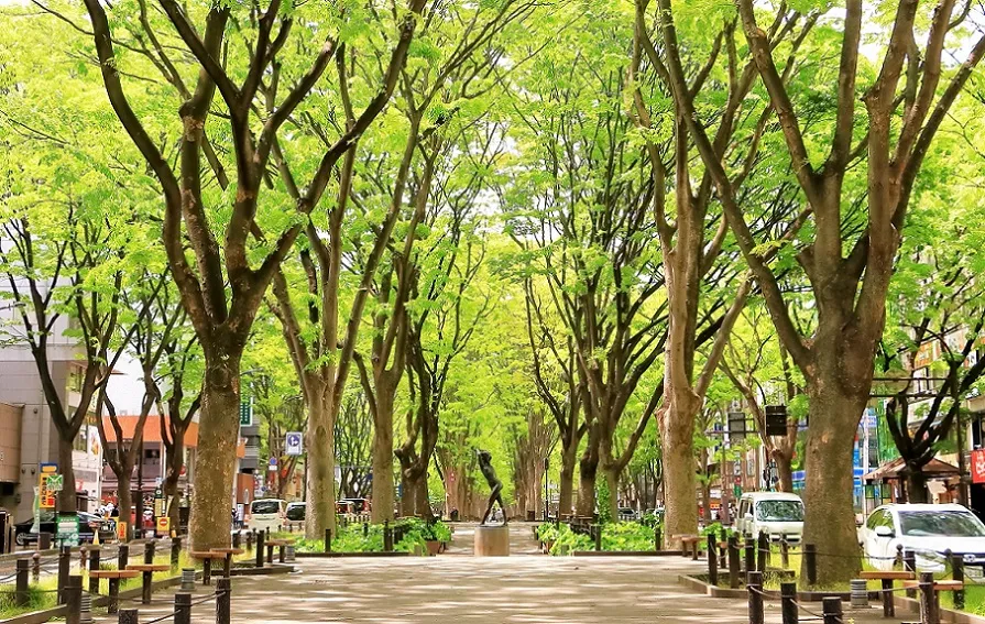 探偵事務所概要