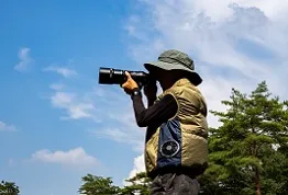 素行調査や行動調査