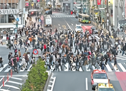 素行調査を行う探偵