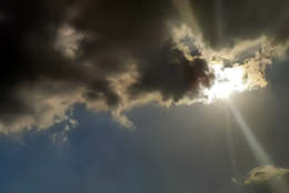 初めての依頼も安心